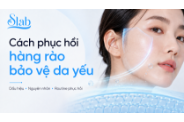 Cách phục hồi hàng rào bảo vệ da yếu hiệu quả, an toàn